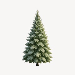 Obraz premium Snow-covered evergreen tree illustration.