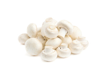 Champignon mushroom isolated on white background