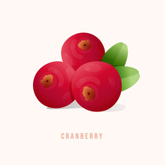 Three Ripe Red Cranberries With Green Leaves On A Light Background And Subtle Shadow