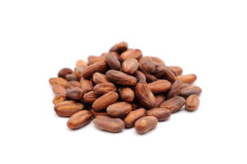 Fresh cacao beans on white background