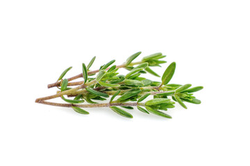 Thyme fresh isolated on white background.