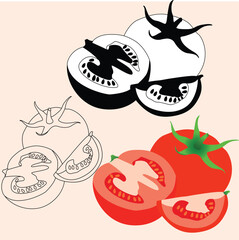 Realstic Tomato Vector Line Art Illustration