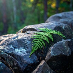 Vivid fern on slick rocks beside a blurred forest