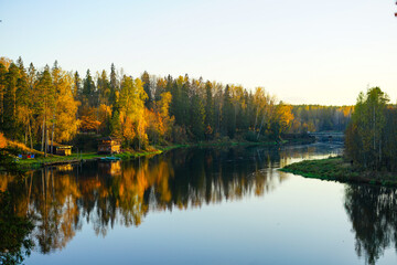 Golden Autumn Trees Reflected in a Serene River Landscape