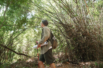 Person hiking through lush bamboo jungle