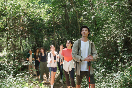 Group of friends hiking together in green forest