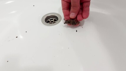 Watch a satisfying deep clean as a stubborn hair clump is yanked from a clogged sink drain in seconds-fast, effective, and oddly mesmerizing. Perfect for home maintenance inspo