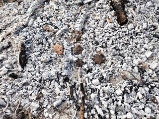 Close up texture of wood ash.