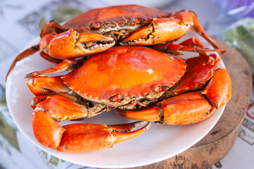 Crab feast celebration coastal restaurant food sunny day close-up culinary delight