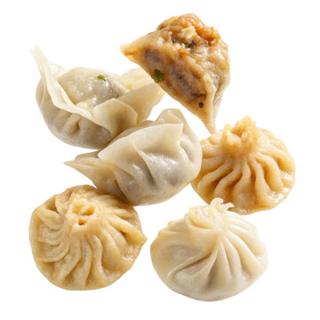 Delicious assortment of asian steamed dumpling food. Traditional chinese dim sum appetizer cuisine with variety of tasty fillings