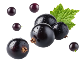 Fresh ripe blackcurrant berry with green leaf and water drop, isolated on transparency background. Healthy, organic, natural, juicy fruit
