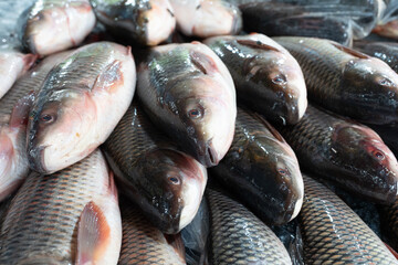 Fresh fish lies on ice in a supermarket