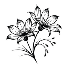 Two Stylized Lilies Vector Illustration - Botanical Floral Element