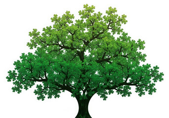 Vibrant green oak tree with lush foliage isolated on white background