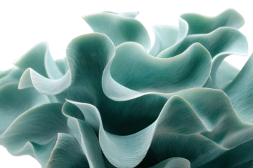 Abstract teal, rippled, textured, organic forms