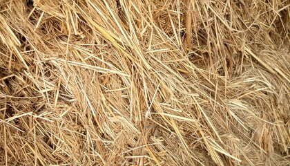 Haystack Texture Detail View, Dry Straw Background, Farm Land Material Composition
