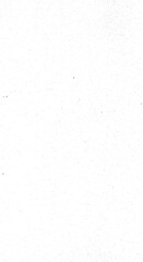 Minimalist White Background for Modern Design and Clean Aesthetics.