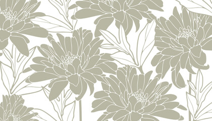 Chrysanthemums vector abstract floral background. Luxury design for postcards, posters or banners