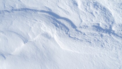 Fresh Snow Surface Texture Clean and Undisturbed Bright Sunlight Reflecting on Surface