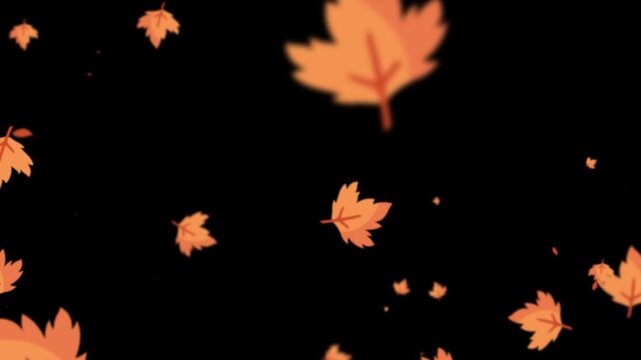 Falling autumn leaves particle motion animation background seamless loop overlay on alpha channel