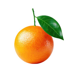 Single orange fruit with leaf (1)