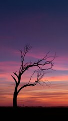 Fototapeta premium Silhouette of a tree against a vibrant sunset