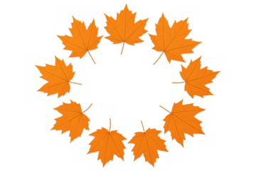Autumn maple leaves forming circular frame, fall concept with orange foliage on transparent background