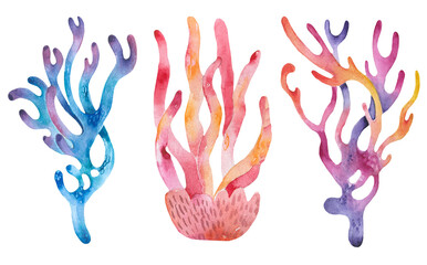 Coral reef watercolor set with colorful illustration of abstract sea underwater plants.