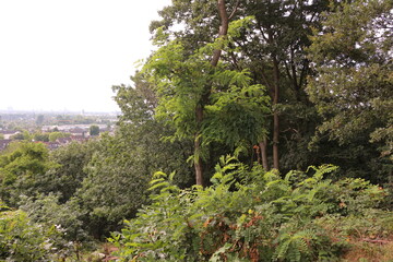 Blick auf die Stadt Düsseldorf am Rhein