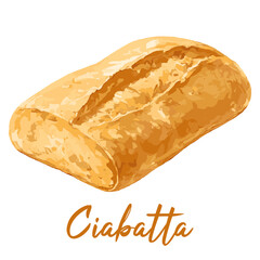 ciabatta in watercolor illustration style, isolated vector on transparent background