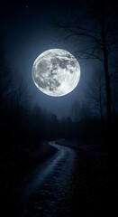 Mystical Moonlight Path - A Serene Night Landscape.