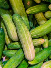 Pile of Fresh Cucumbers