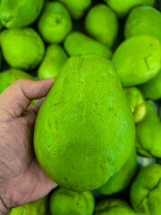 Hand Holding Bright Green Chayote