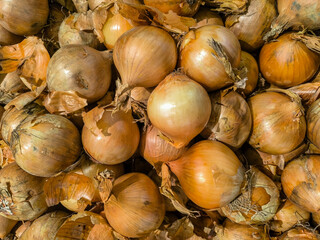 Rustic Pile of Onions