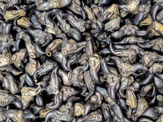 Dark Water Caltrops Background Texture