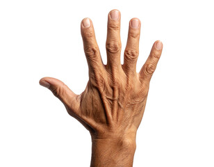 Hand – isoliert auf weißem Hintergrund, Freisteller, transparent