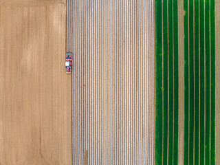 In spring, farmers use farm machinery to grow peanuts
