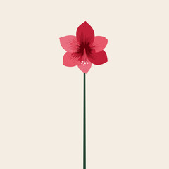 Elegant minimal illustration of red amaryllis flower with long green stem on beige background