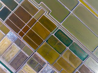 The view of the salt field，View of the salt field, Salt pan in the salt pool