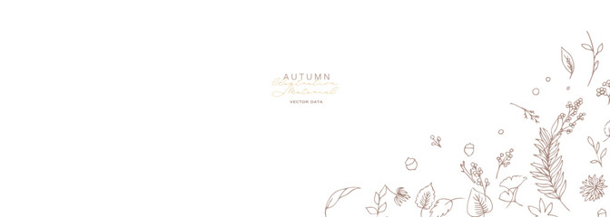 Obraz premium 草木の線画イラスト。秋の草木のベクターフレーム。冬の植物シンプル背景。 Line art illustration of plants. Vector frame of autumn plants. Simple background of winter plants.