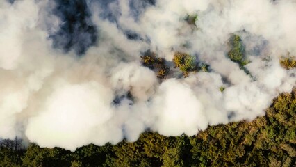 Forest Fire Drone View. Severe wildfire. Natural wildfire. Wildfire background