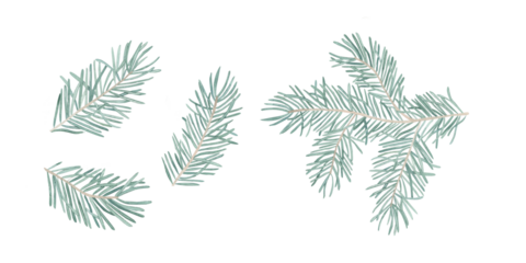 Set of 4 Fir, coniferous branches Watercolor Illustration. Hand-Drawn Realistic Green Spruce Element. Beautiful Evergreen Tree holiday celebration new year. botanical illustration Christmas plants