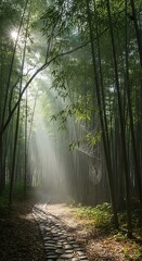 Obraz premium Sunlit Path Through Bamboo Forest - A Serene Natural Scene.