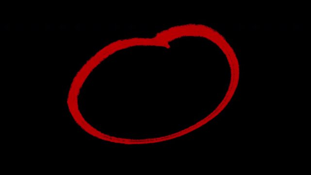 hand drawn red circle animation on transparent background. red circle brush drawn, brush stroke circle highlighter scribble animation.
