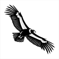california-condor-vector