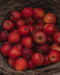 A close-up of a wooden or straw basket tightly filled with freshly picked red apples. The photo perfectly illustrates the autumn harvest, abundance, and farm produce.