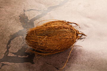 Natural exotic brown hairy coconut