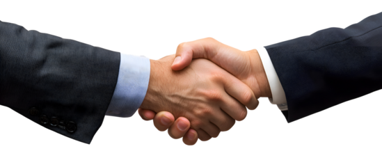 Business handshake and business people concepts.