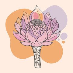 Torch ginger silhouette on white background