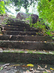 Old weathered stone steps overgrown with green moss and small plants in a tropical forest. Bright sunlight highlights the textures of the stones and lush greenery. Natural peaceful scenery in Vietnam.